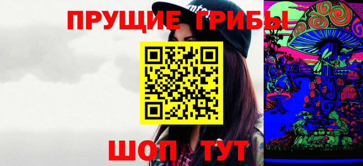 Псилоцибиновые грибы Psilocybe Нижний Новгород