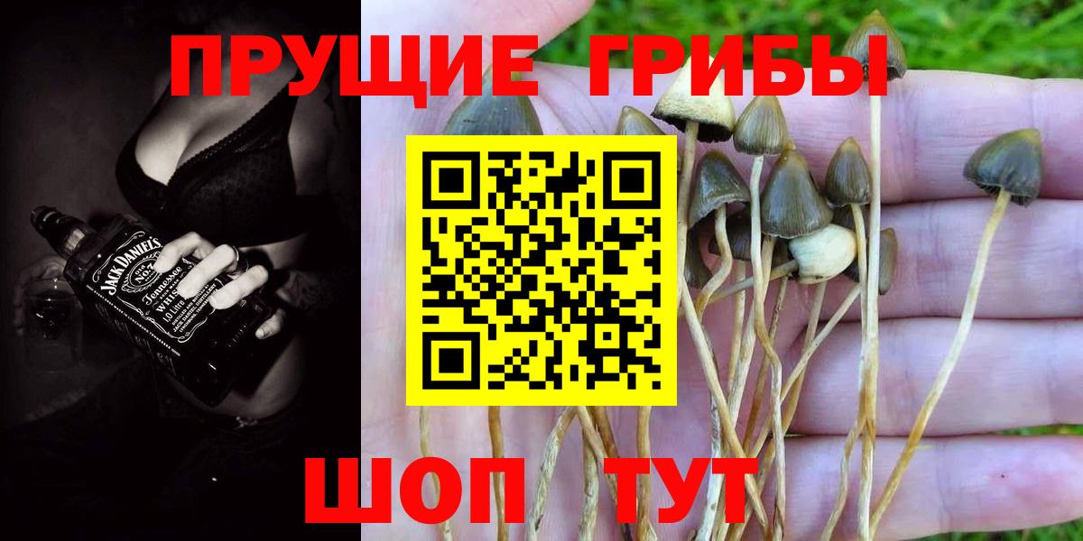 Нижний Новгород  Галлюциногенные грибы мицелий  Псилоцибиновые грибы GOLDEN TEACHER  Вход с VPN 